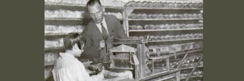 Who Invented the Bread Slicer Who Invented the Bread Slicer